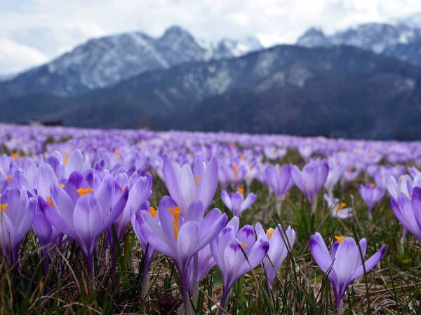 Apartamenty Widokowe Cztery Pory Roku