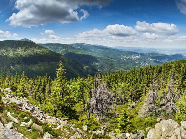 Apartamenty Widokowe Cztery Pory Roku