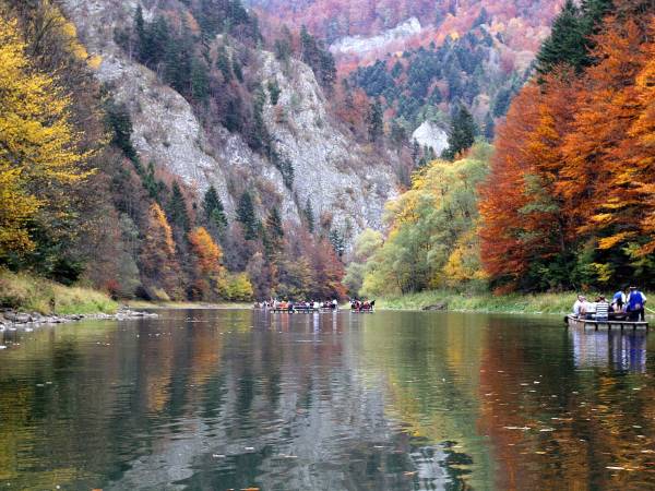Całoroczne domki w górach "ALEKSANDER"