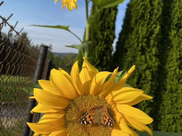 Domek Leniuchowo Rabka-Zdrój 