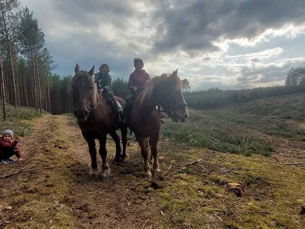 Agroturystyka Kaszuby Pod Morwą