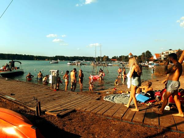 Plaża w Tle dla Mew
