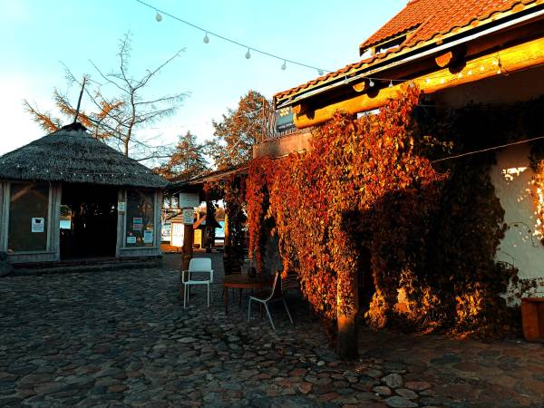 Jesień w Tle dla Mew