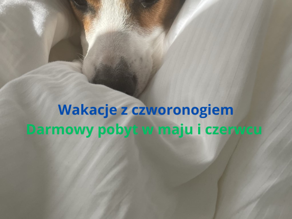 Orka Wakacje