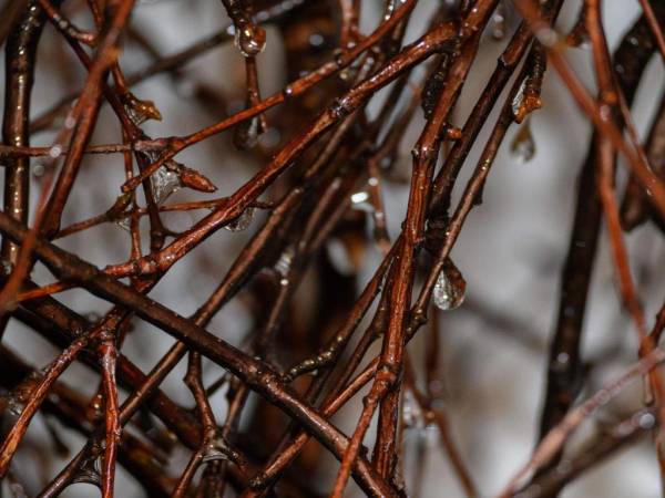 Zakopiańska Osada ekskluzywne domki pod Giewontem