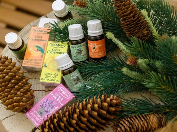 Zakopiańska Osada ekskluzywne domki pod Giewontem