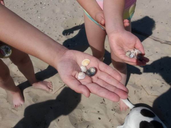 Kurdybanek - Domki letniskowe