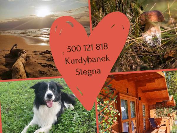 Kurdybanek - Domki letniskowe