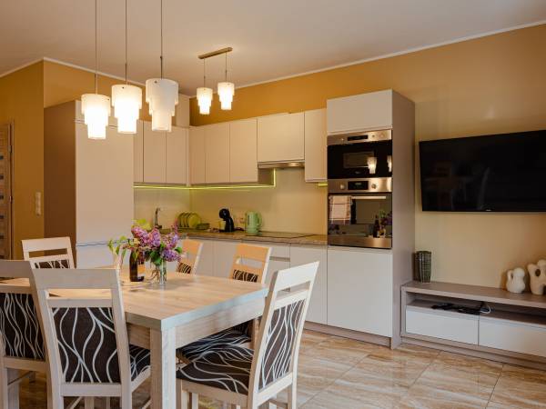 Salon z aneksem kuchennym