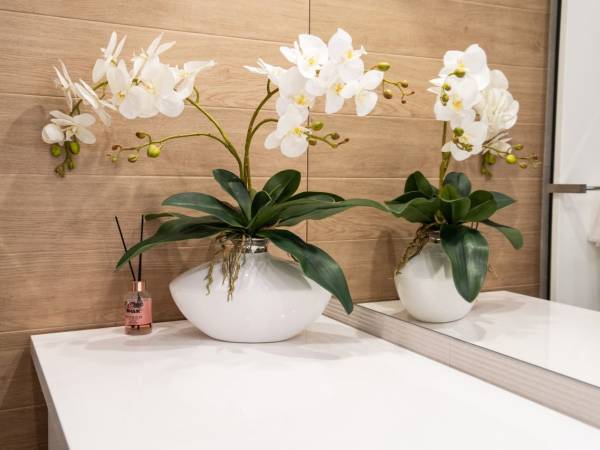 Apartament całoroczny Meta