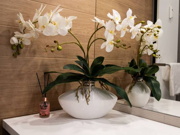 Apartament całoroczny Meta