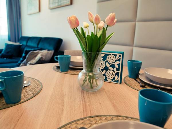 Apartament całoroczny Meta