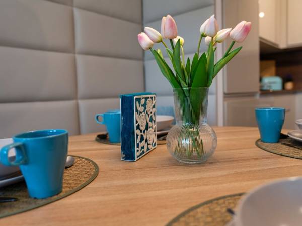 Apartament całoroczny Meta