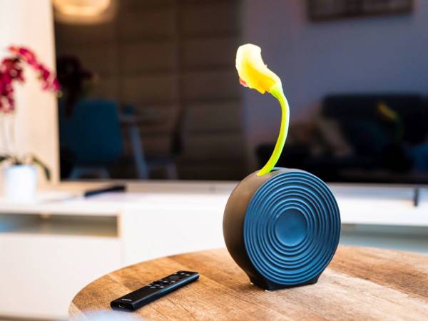 Apartament całoroczny Meta