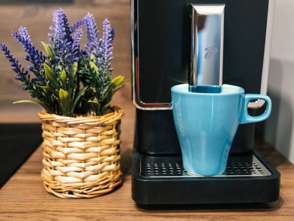 Apartament całoroczny Meta