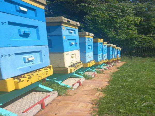 Agroturystyka Krystyna i Zygmunt Kąkol