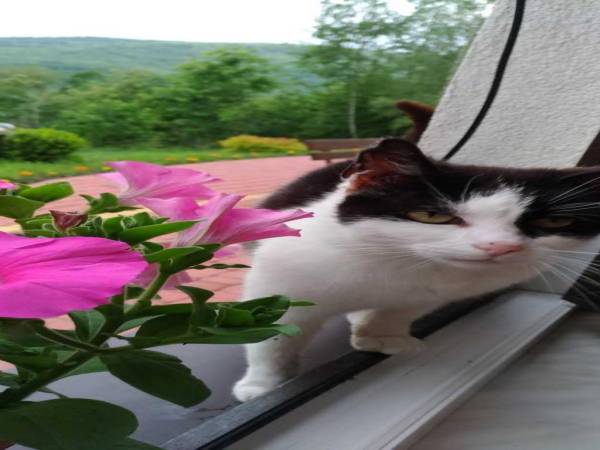 Agroturystyka Krystyna i Zygmunt Kąkol