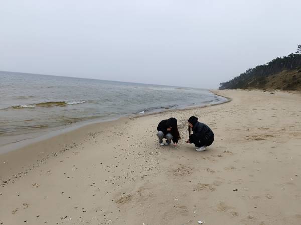 Szary Domek Nad Jeziorem