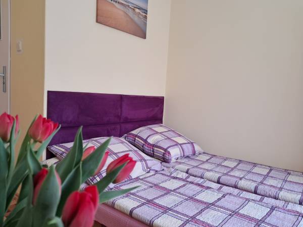 pokój 2 osobowy bez balkonu - Ip.