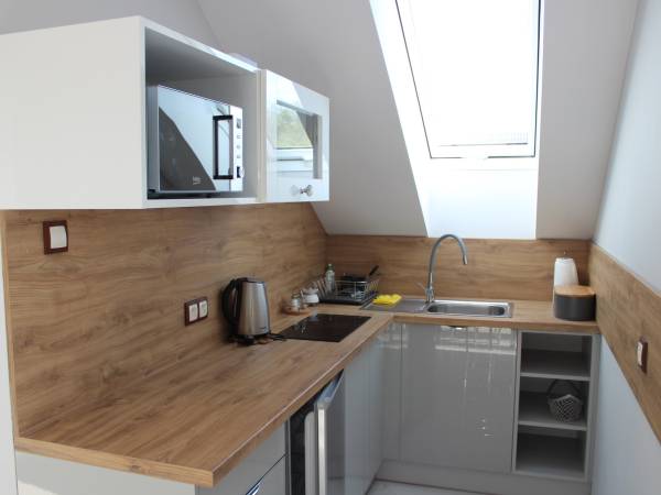 apartament nr 1 aneks kuchenny