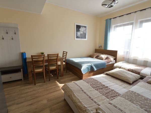 pokój 4/5 osobowy z łazienką