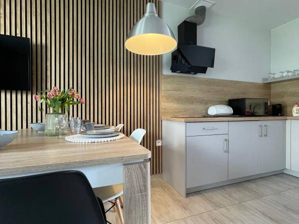 Salon z aneksem kuchennym