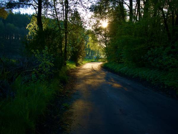 Dworek Wdzydze - Domki i Apartamenty