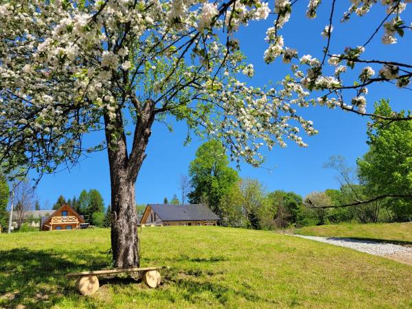 Miejsce nad strumieniem