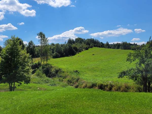 Pole/ widok z domków