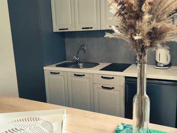 Domki Płociczno z własną plażą