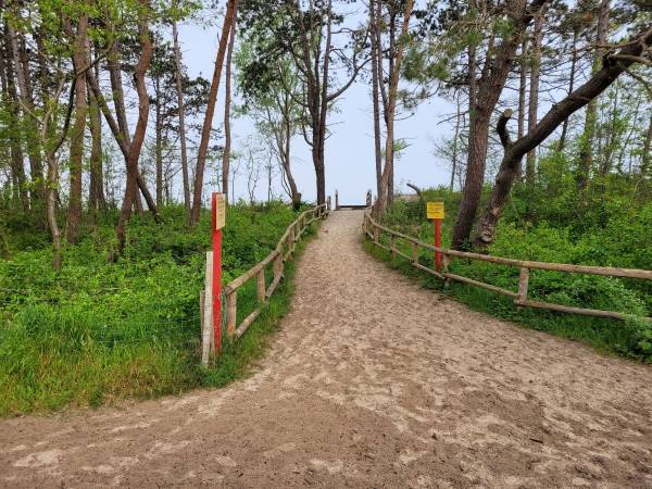 BALTIC LUX POGORZELICA