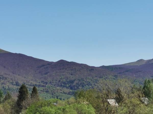 Widok ze Strzebowisk 