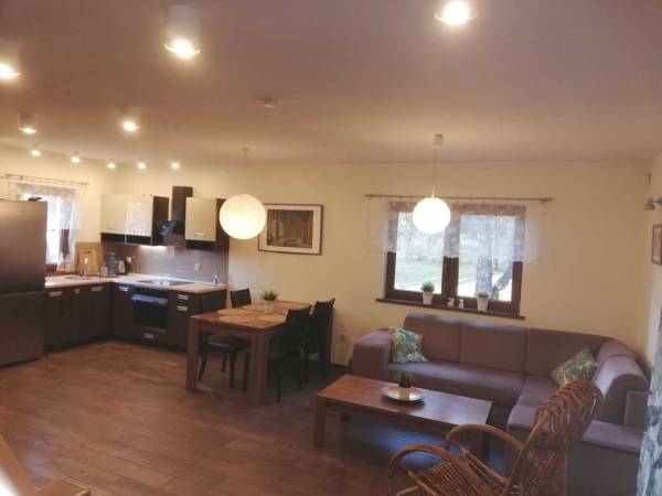 Pomorska 11a salon z kominkiem 