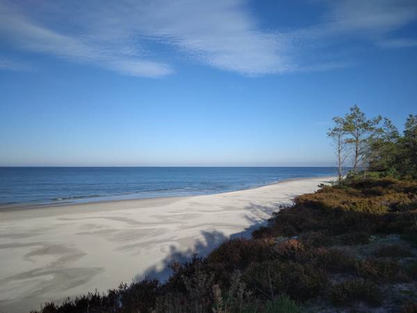 Plaża Białogóra