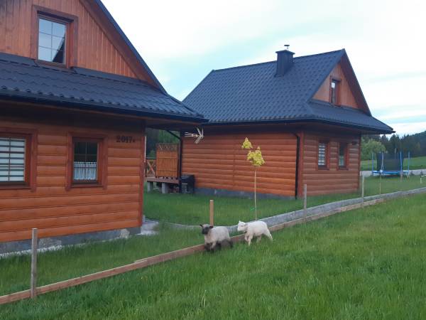 Domki w Dolinie Olzy Istebna