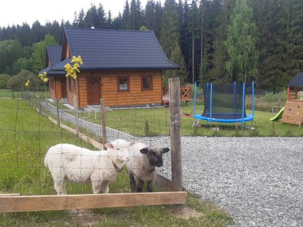 Domki w Dolinie Olzy Istebna