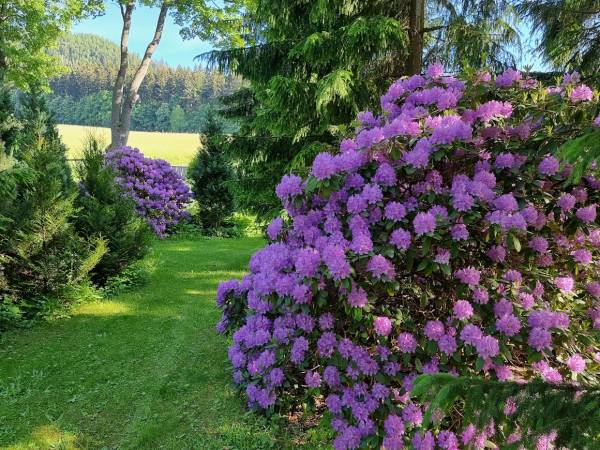 Radosno Ośrodek Wypoczynkowy