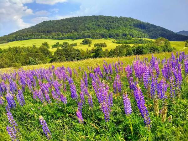 Radosno Ośrodek Wypoczynkowy