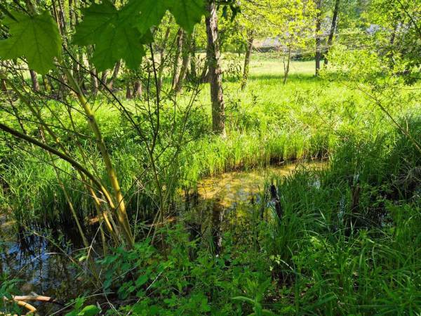 Gościniec Gołubie-Perła Kaszub