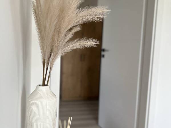 Całoroczne domki Dolina Roztocza