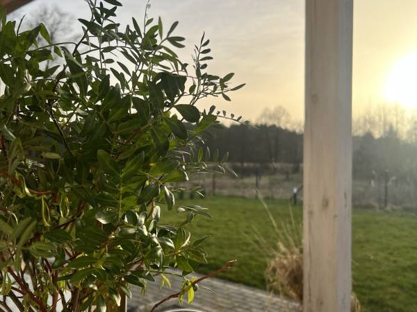 Całoroczne domki Dolina Roztocza