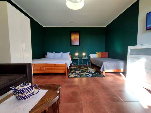 Zielony Domek (2-9 osobowy) pokój 3-osobowy