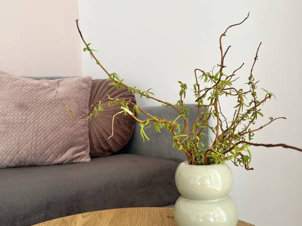 Całoroczne domki Dolina Roztocza