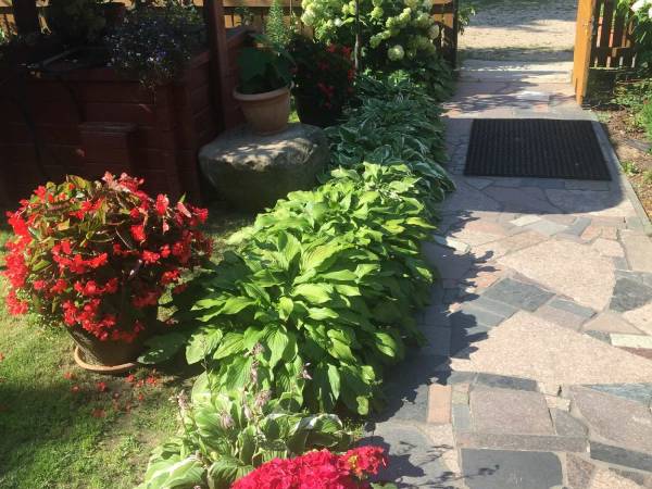 Gospodarstwo Pani Zofii