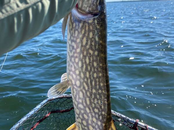 Domek Mazury Sauna Jacuzzi Gizycko Fuleda