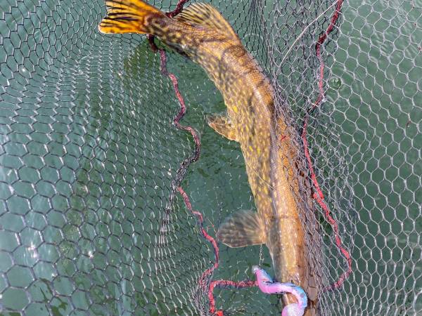 Domek Mazury Sauna Jacuzzi Gizycko Fuleda