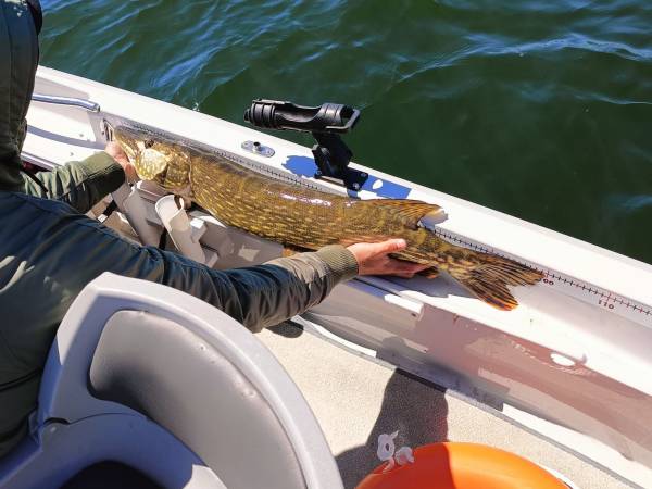 Domki WESTERN HOUSE Giżycko Fuleda Sauna Jacuzzi Kominek