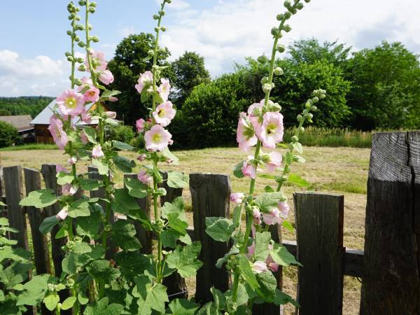 Na Górze Agroturystyka