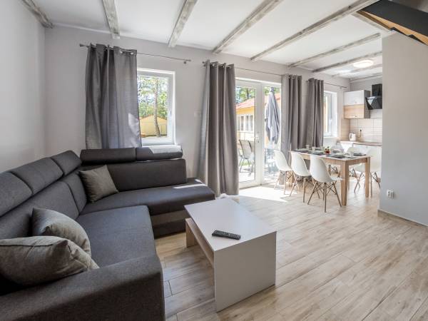 Nowe Domki Albatros Basen, Sauna, Jacuzzi 