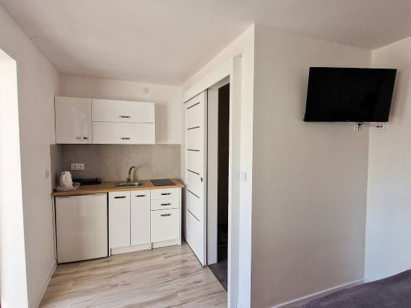 Pokój 2 osobowy z aneksem kuchennym